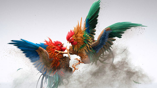 6789a.net TRANG CHỦ ĐÁ GÀ THOMO 1 bi khoi to hanh vi danh bac vi song ao tren MXH 1