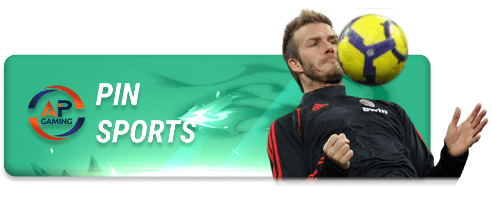 gcs SPORTS PIN 1742355816670