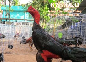 photo 2025 11 09 16 08 33